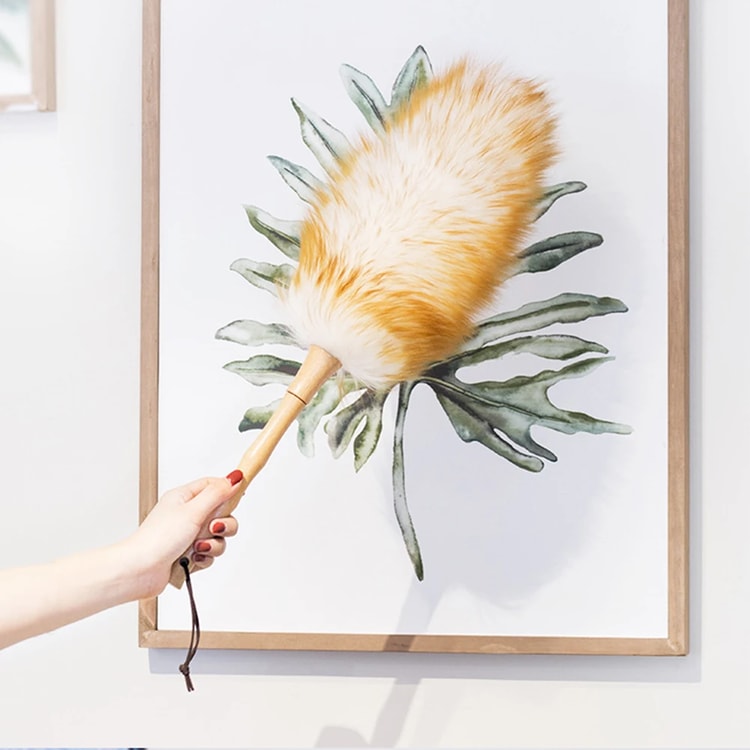 Scalable Wool Duster Brush