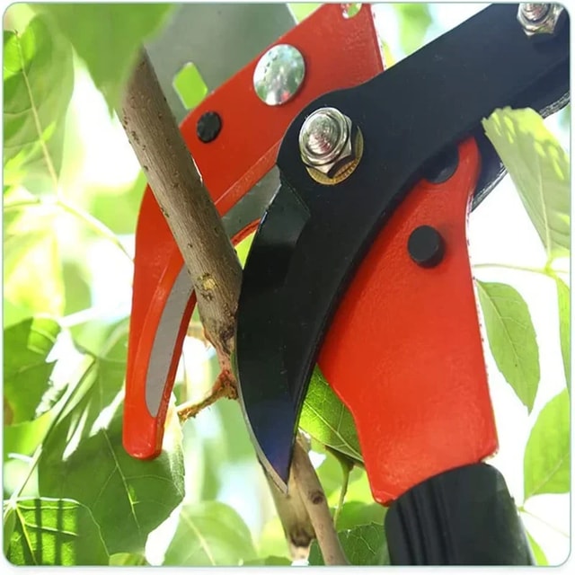 Extendable Tree Pruner Pole Saw with Branch Cutter & Pruning Shears