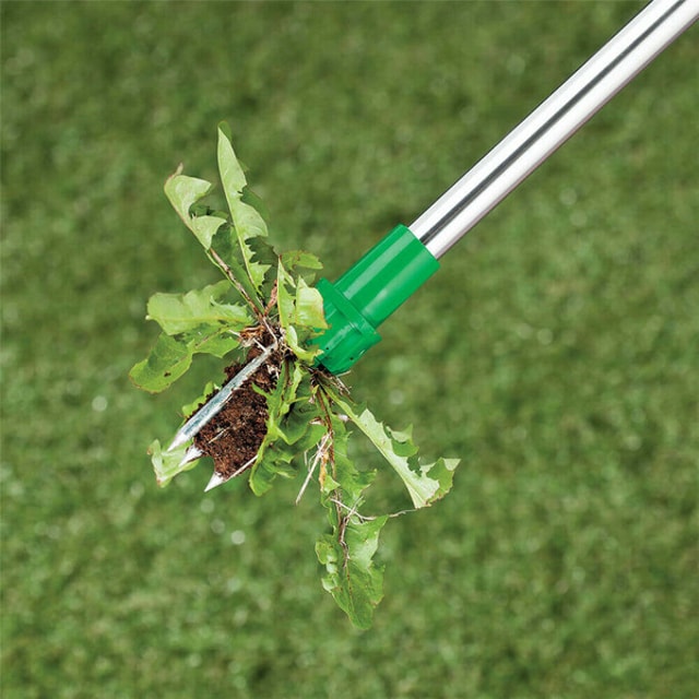 Standing Weed Root Remover Tool with Long Handle & Claw Design