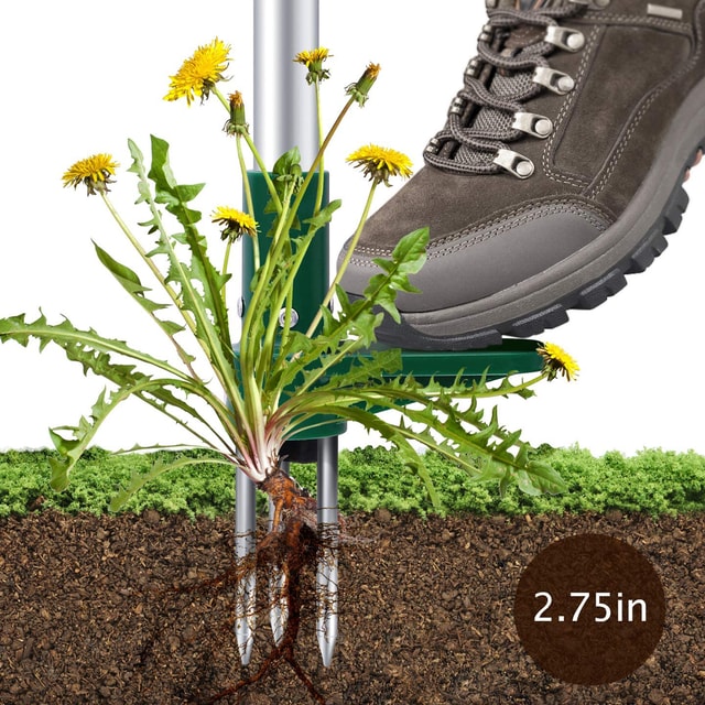 Standing Weed Root Remover Tool with Long Handle & Claw Design