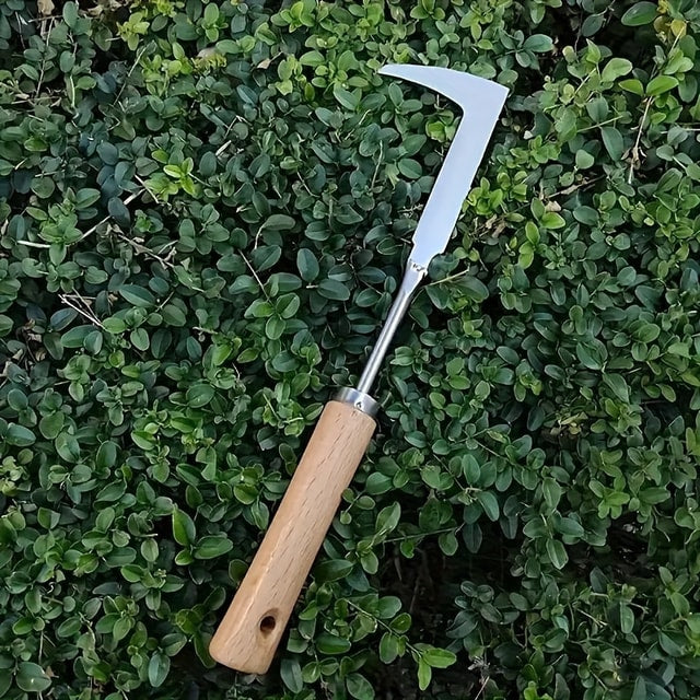 Stainless Steel Weeding Tool for Soil Loosening, Herbs & Bonsai Gardening