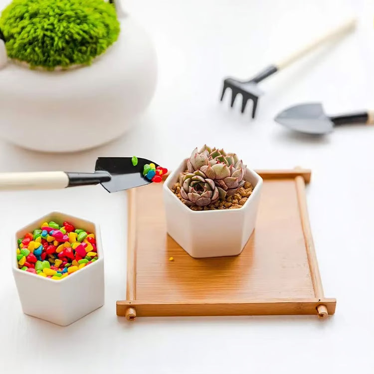 3-Piece Mini Garden Tools Set – Hand Tools for Planting, Gardening & Soil Work