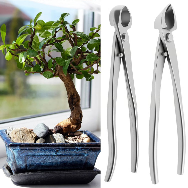 Pruning Tool Kit Stainless Steel Trimming Set for Precision Care