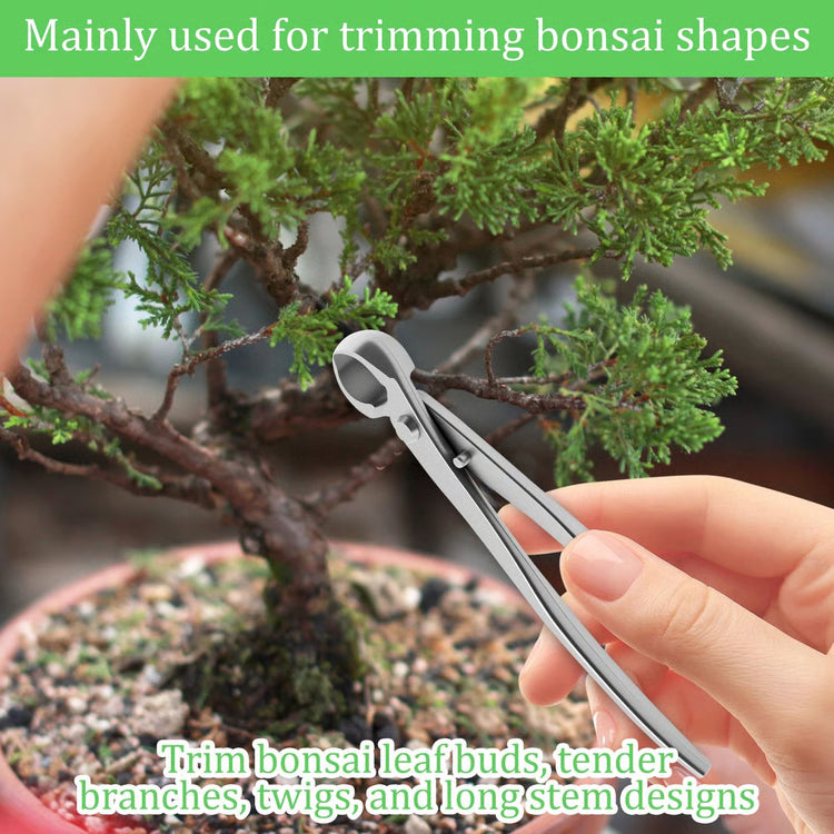 Pruning Tool Kit Stainless Steel Trimming Set for Precision Care