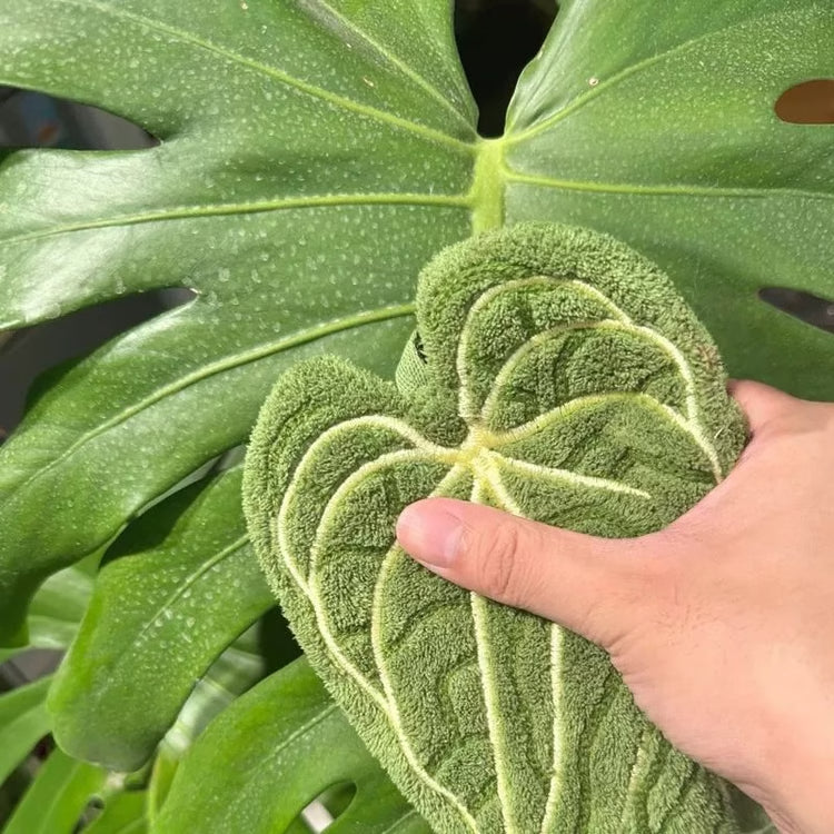 Tropical Leaf Bathroom Kitchen Towel, Quick Dry Plant Towels Ultra Absorbent, Hand Thumb Towel with Hanging Loop
