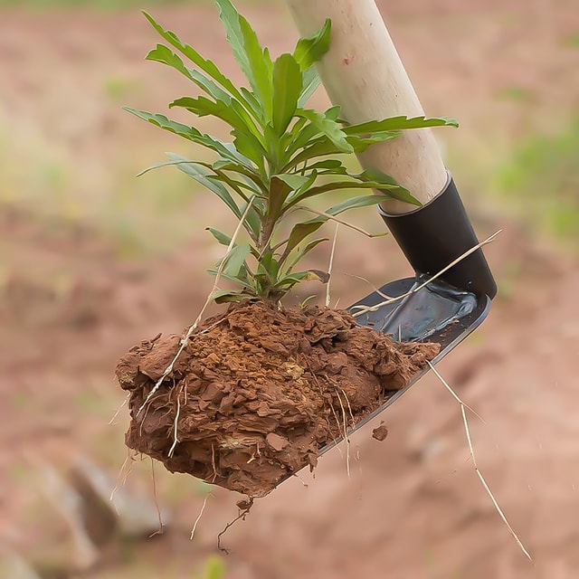 Outdoor Garden Hoe for Planting, Weeding & Soil Cultivation